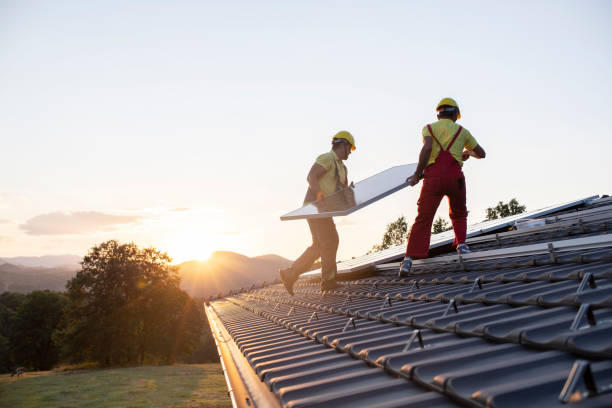 Best Roof Moss and Algae Removal  in Carrizo Springs, TX