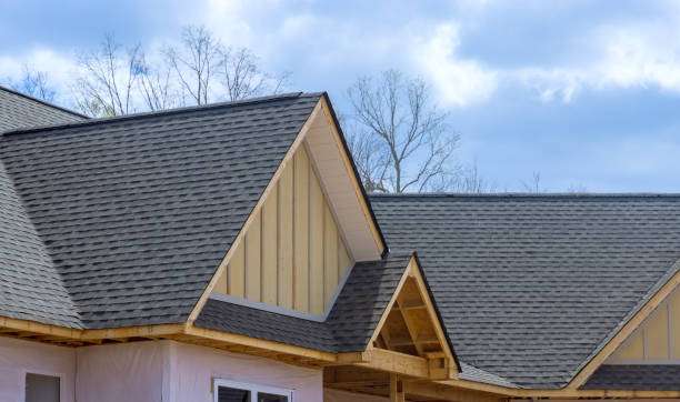 Best Flat Roofing  in Carrizo Springs, TX