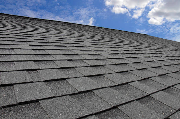 Best Solar Panel Roofing Installation  in Carrizo Springs, TX